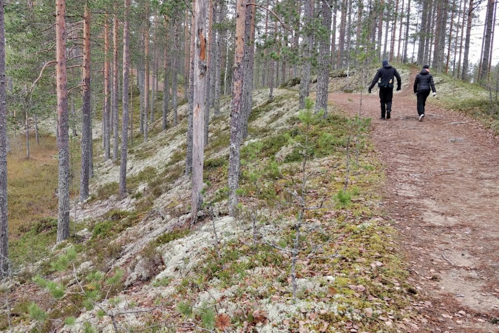 Halssin kuntopolut