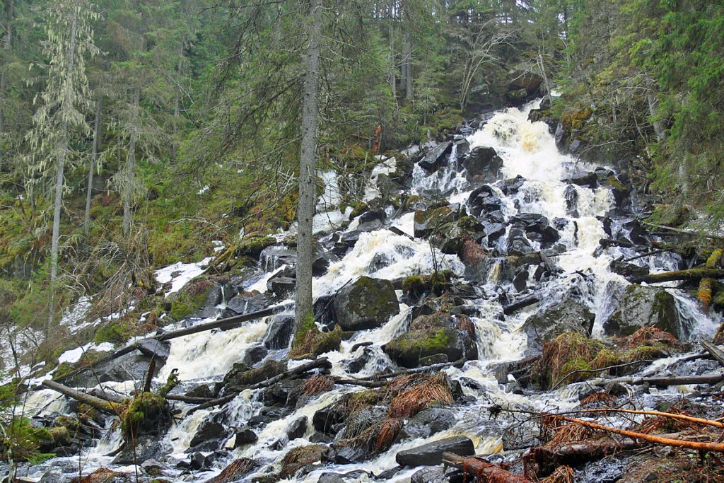 Korkeakoski
